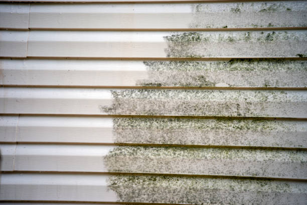 Best Wood Siding Installation  in River Edge, NJ