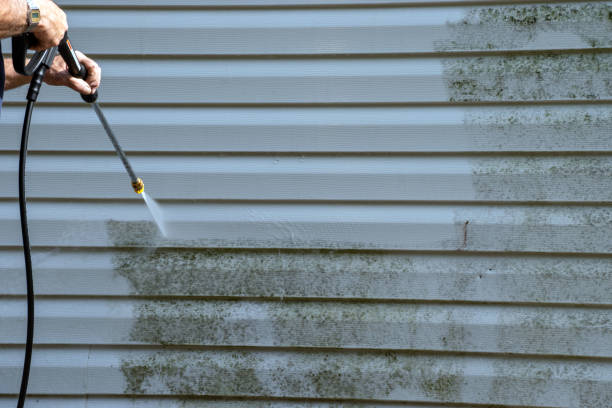 Best Brick Veneer Siding  in River Edge, NJ