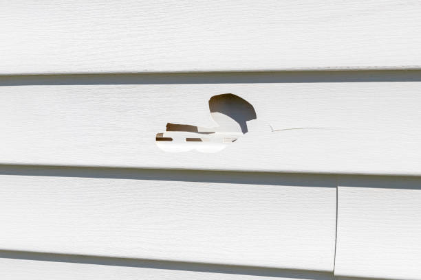 Trusted River Edge, NJ Siding Installation & Repair Experts