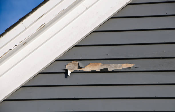 Best Engineered Wood Siding  in River Edge, NJ